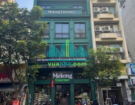 Bán Tòa Nhà Mặt Tiền 71B–73 Calmette, P. Nguyễn Thái Bình – Quận 1 – HĐT 250 Triệu/Tháng